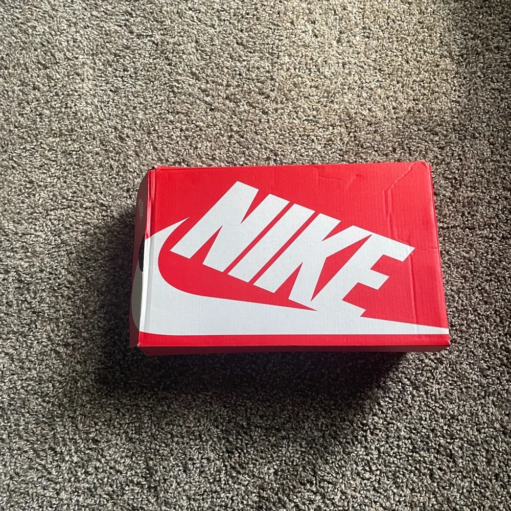 🩶 Nike Dunk Low Next Nature 🩶 - Picture 10 of 12